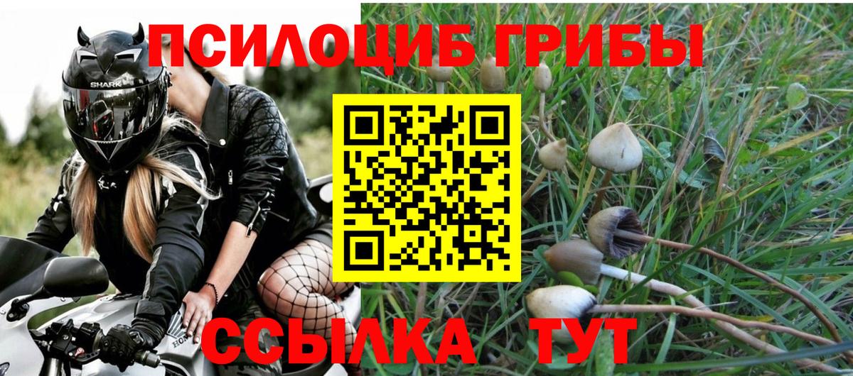 Псилоцибиновые грибы мицелий Коломна