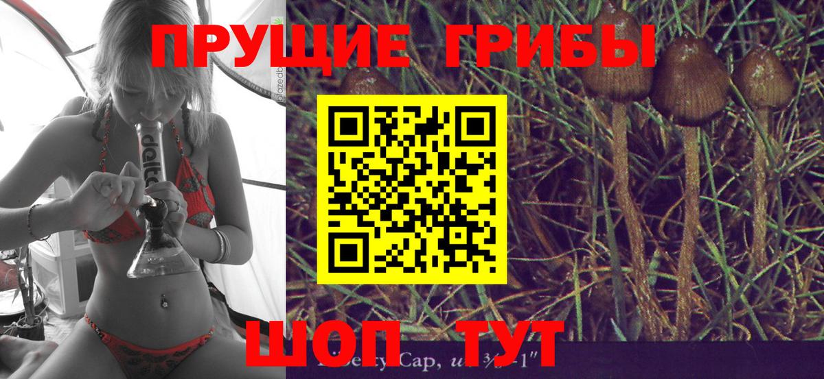 Коломна  Псилоцибиновые грибы прущие грибы  Вход с VPN 